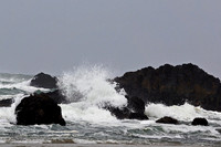 Ocean