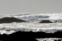 Ocean