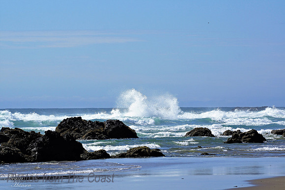 Splash in The Shallows
