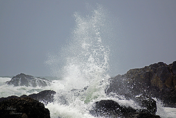 Cool Splash