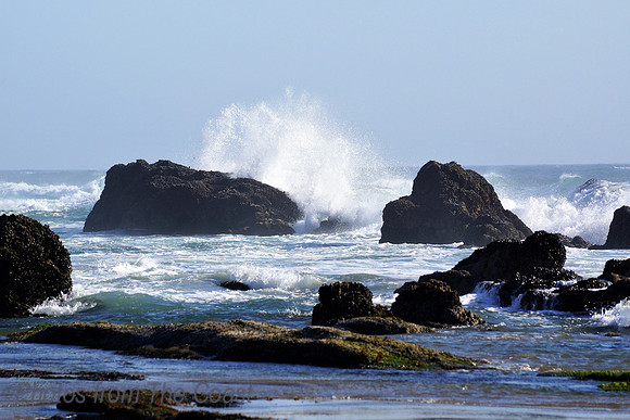 Mussel Covered Basalt