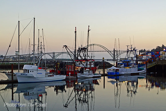 Yaquina Bay Dock