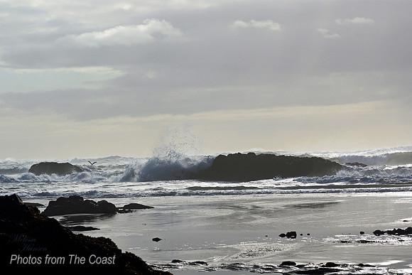 Winter Splash