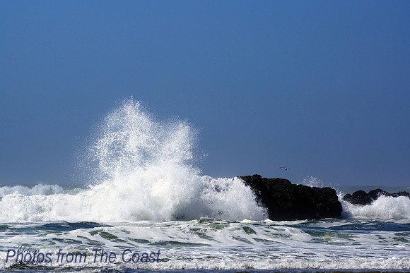 High Splash