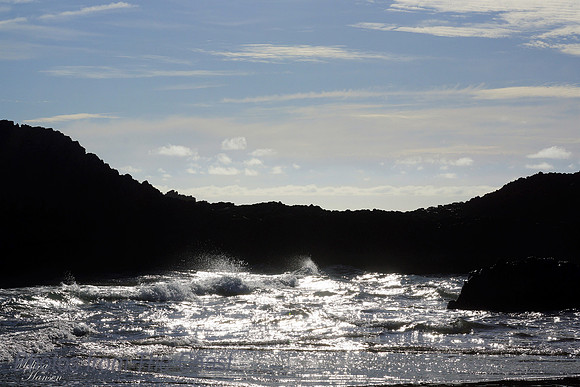 Sparkling Cove