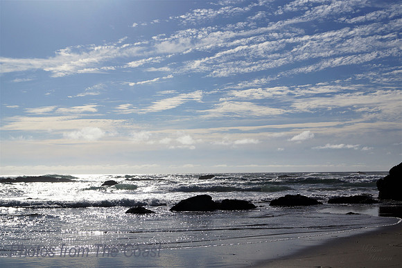 Late Afternoon Light