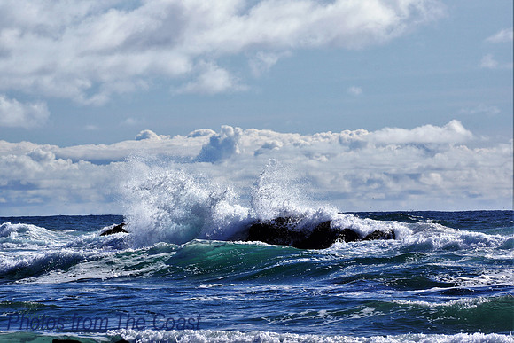Salty Splash
