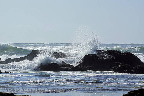 Splash in The Shallows