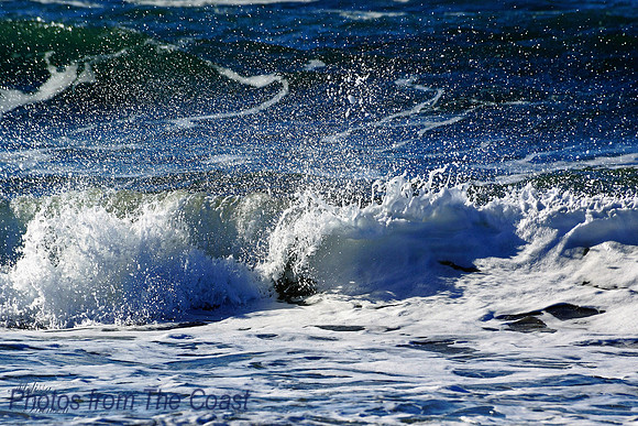 Light in The Shallows