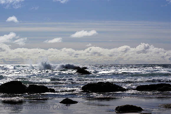 Soft Light, Sparkling Ocean