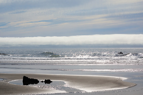 Low Tide & Sunshine