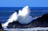 Ocean