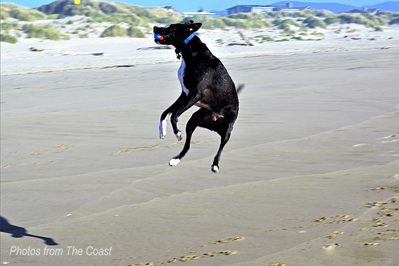 Phil in Flight