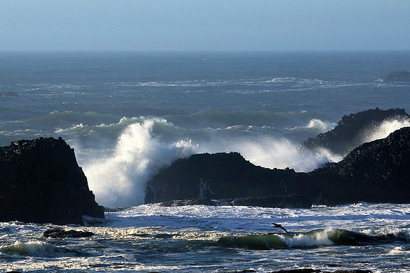 High Surf Splash