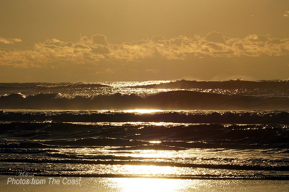 Beautiful Gold