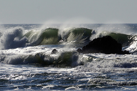 3 Curl Wave