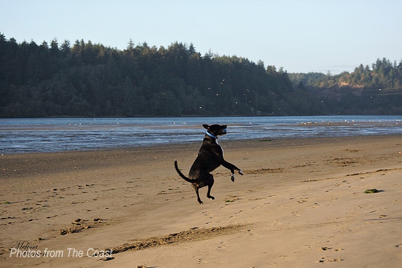 Phil at The Bay