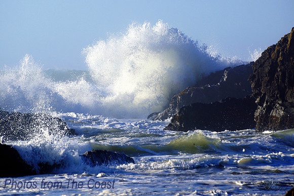 Fresh Salty Splash