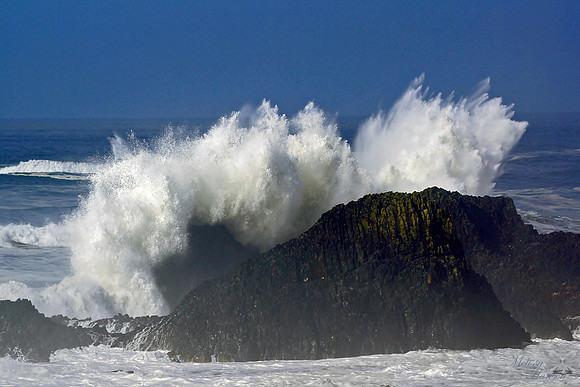 Colossal Splash