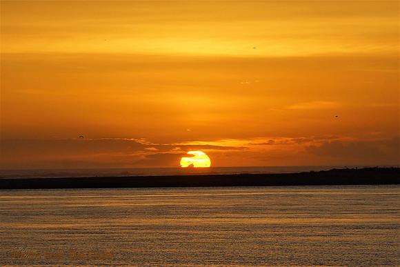 Magnificent Sunset