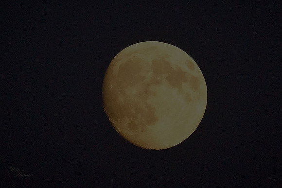 Big Full Moon