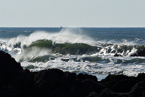 Sweet Ocean Wave