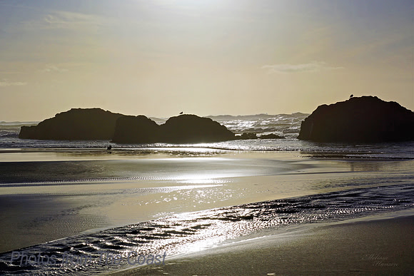 Shining Afternoon