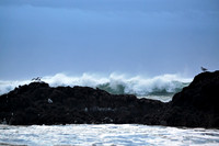 Storms
