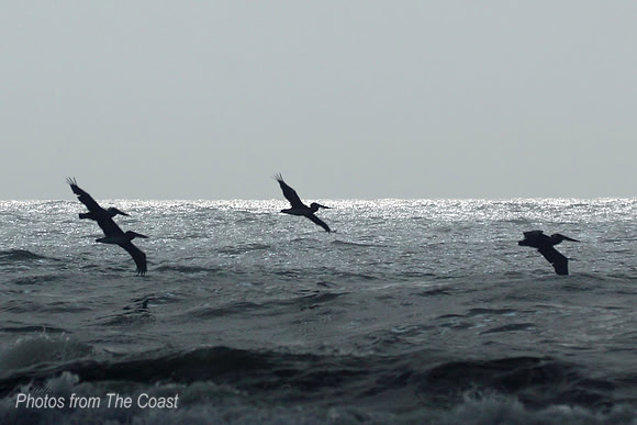 Gliding By