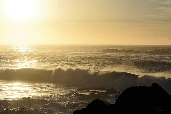 Beautiful Afternoon Light