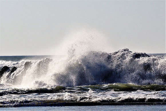 Fresh Salty Splash