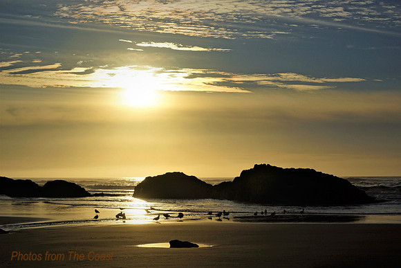 Soft Golden Light