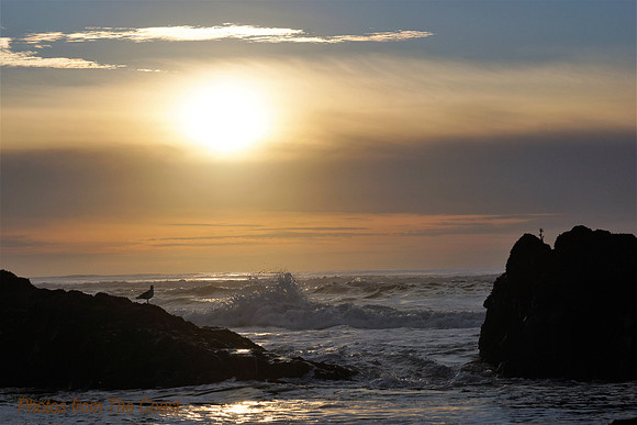 Muted Sunset