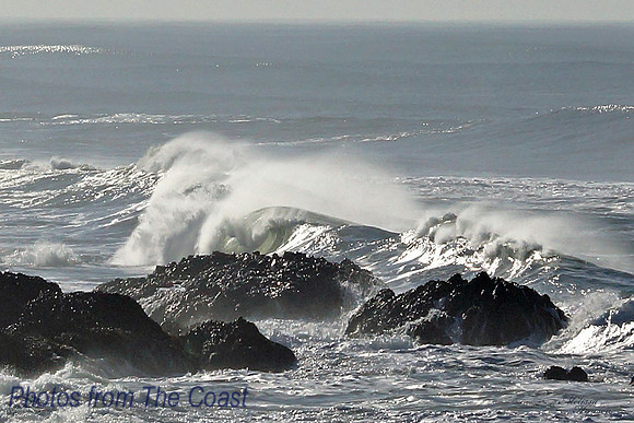 Spindrift Curl