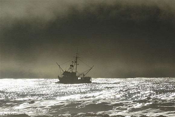 Light on FV