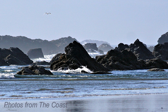 Ocean Basalt