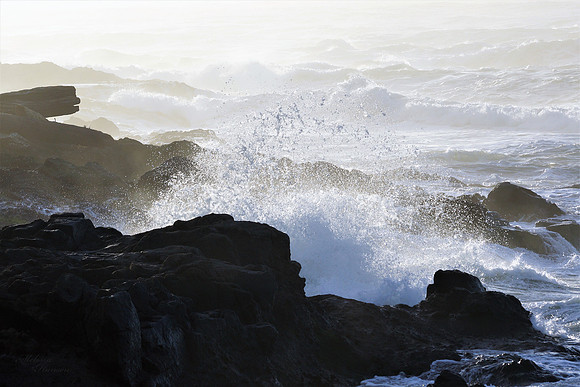 Sun Hits Saltwater Droplets