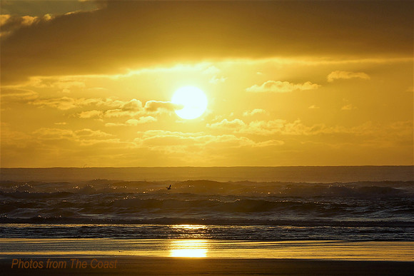 Sunset of Yellow & Gold