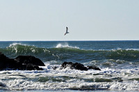 Ocean