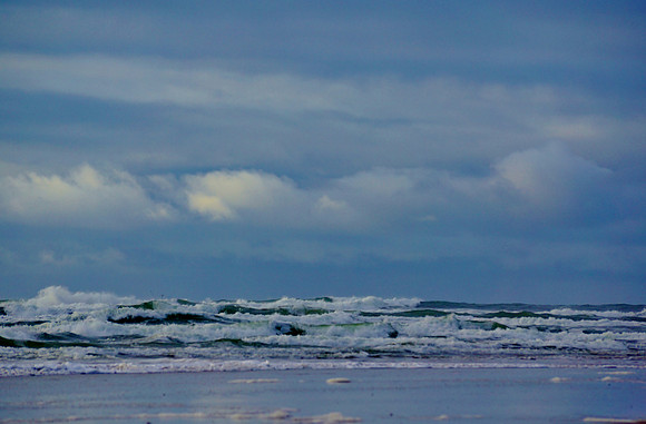 Winter Blues with Great Green Surf