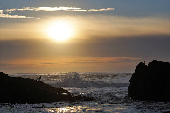 Soft Gold Hour