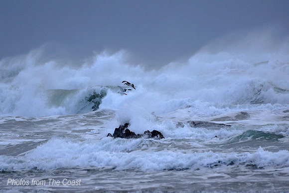 High Surf Salty Spray