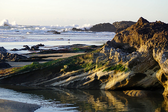 Tidepool, Sandstone and Basalt