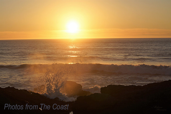 Late Afternoon Splash