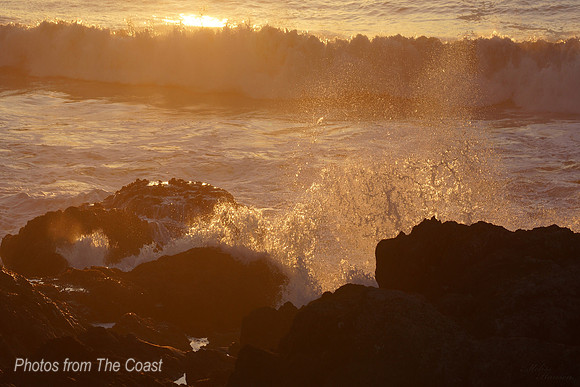 Golden Hour Splash