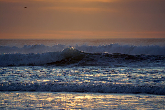 Sweet Evening Wave