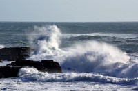 Ocean