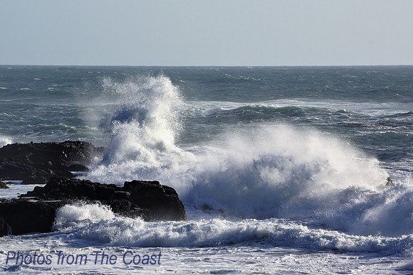 Large Sunny Splash