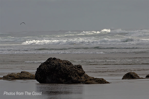 LIght on Surf