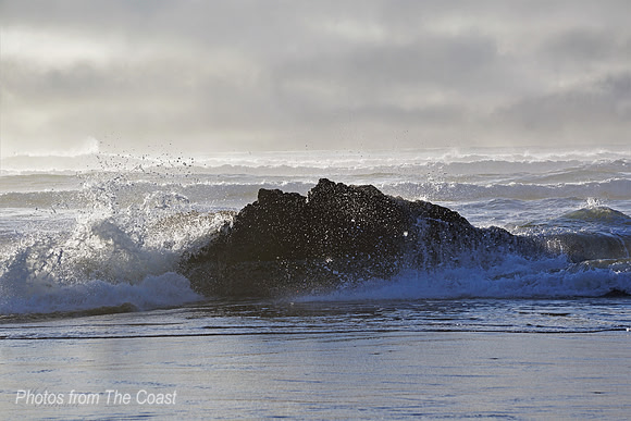 Dancing Saltwater